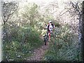 IMG_5992.JPG