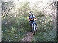 IMG_5993.JPG