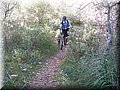 IMG_5995.JPG