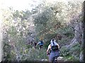 IMG_6010.JPG