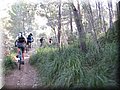 IMG_6014.JPG