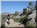 IMG_6017.JPG