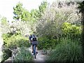 IMG_6018.JPG