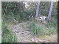 IMG_6025.JPG