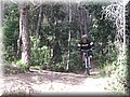 IMG_6028.JPG
