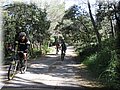 IMG_6032.JPG