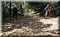 IMG_6041.JPG