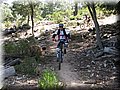 IMG_6058.JPG