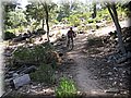 IMG_6059.JPG