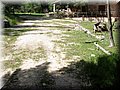 IMG_6065.JPG
