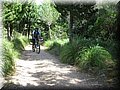 IMG_6068.JPG