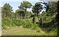 IMG_6086.JPG