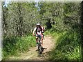 IMG_6095.JPG