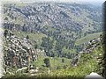 IMG_6105.JPG