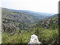 IMG_6106.JPG