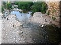 IMG_6131.JPG