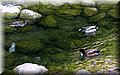 IMG_6142.JPG