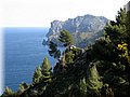 IMG_6155.JPG
