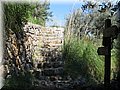 IMG_6175.JPG