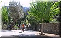 IMG_6195.JPG