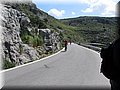IMG_6231.JPG