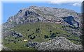 IMG_6248.JPG