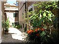 IMG_6262.JPG