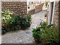IMG_6263.JPG