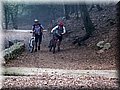 IMG_6495.JPG