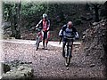 IMG_6499.JPG