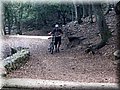 IMG_6503.JPG