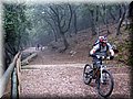 IMG_6505.JPG