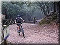 IMG_6512.JPG