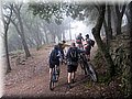 IMG_6516.JPG