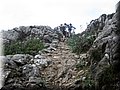 IMG_6517.JPG