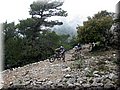 IMG_6520.JPG