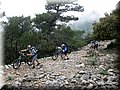 IMG_6521.JPG