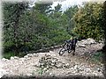IMG_6529.JPG
