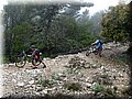 IMG_6531.JPG