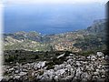 IMG_6533.JPG