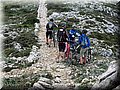 IMG_6539.JPG