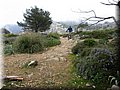 IMG_6540.JPG