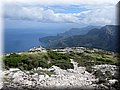 IMG_6552.JPG