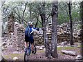 IMG_6569.JPG