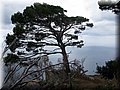 IMG_6577.JPG
