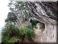 IMG_6585.JPG