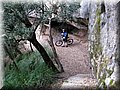 IMG_6588.JPG