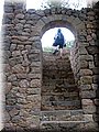 IMG_6595.JPG