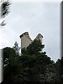 IMG_6596.JPG