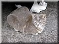 IMG_6598.JPG